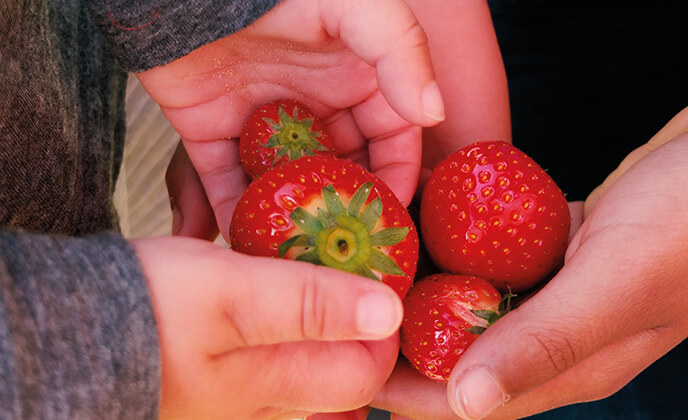 ERNÄHRUNG FÜHLEN